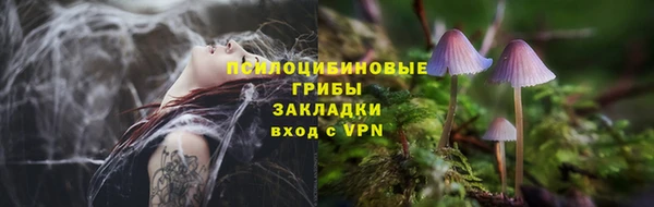 не бодяженный Арсеньев